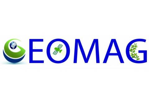Logo du projet GEOMAG