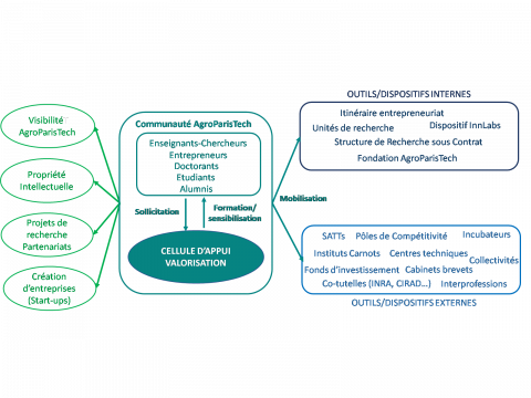 Ecosystème de la valorisation et de l’innovation à AgroParisTech 