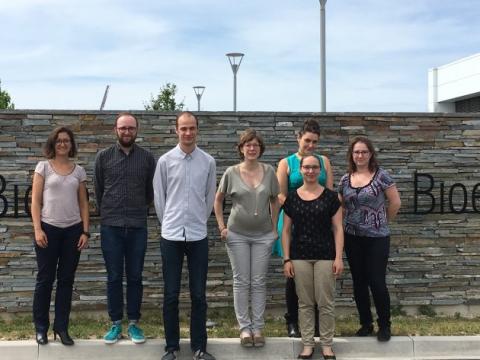 Equipe du projet EnzyTurf 