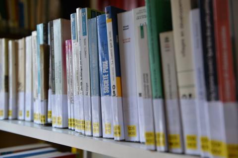 livres sur bibliothèque 