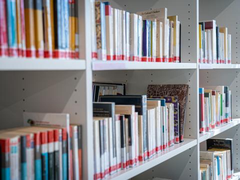 Photographie de linéaires de bibliothèque