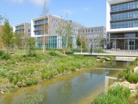 Vue du Campus Agro Paris-Saclay